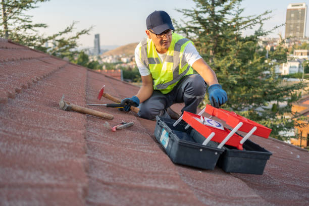 Best Yard Waste Removal  in Beaver Falls, PA